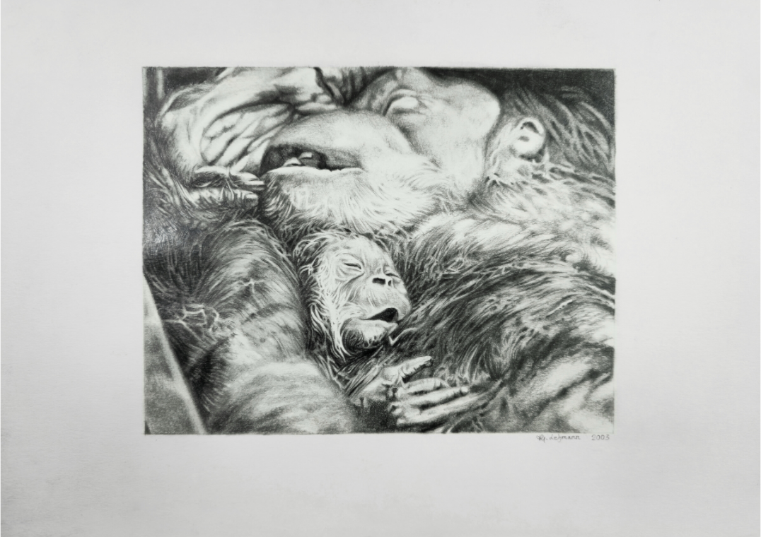 Main image Der Schlaf