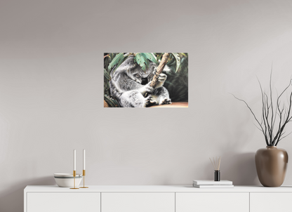 62,5 x 40 cm, Leinwand Hüter des Eukalyptus