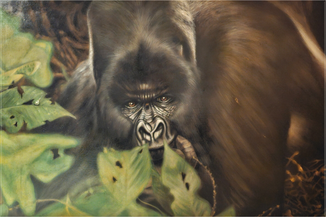 Main image Des Kaisers Träne