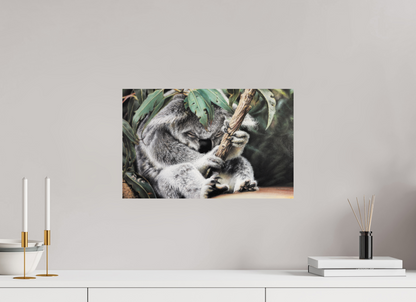 46,9 x 30 cm, Fine Art Print Hüter des Eukalyptus