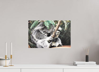 46,9 x 30 cm, Leinwand Hüter des Eukalyptus