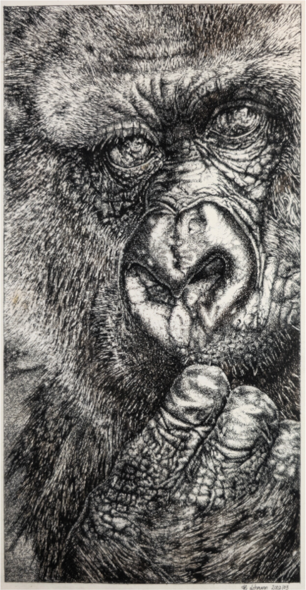 Main image Romina  (mit den Augen eines Kindes)