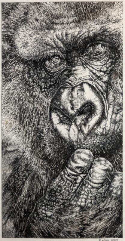 Main image Romina  (mit den Augen eines Kindes)